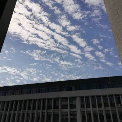 美国机场安检排队时间创历史新高 资金短缺令TSA陷入用工荒